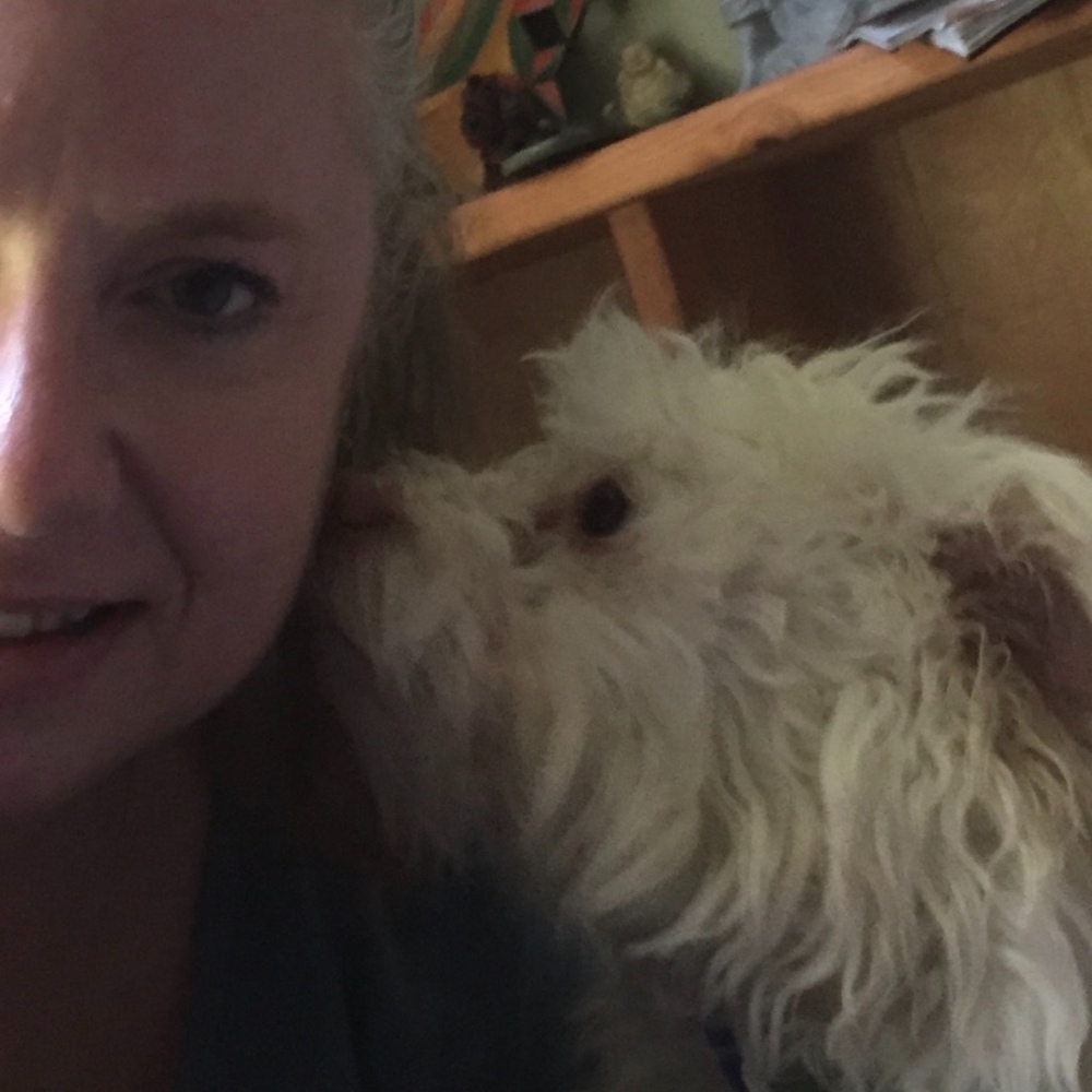 Meet your Posher, Annie